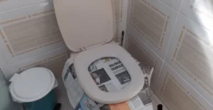 Melhores métodos caseiros para desentupir vaso sanitário